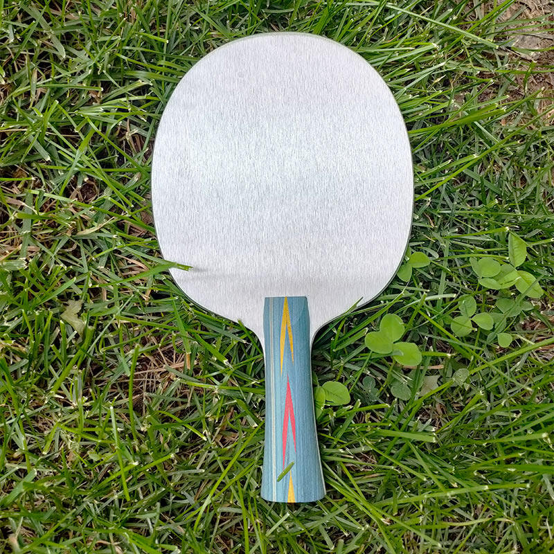 Plaque de base de tennis de ta - Allsports Equipment avis et prix