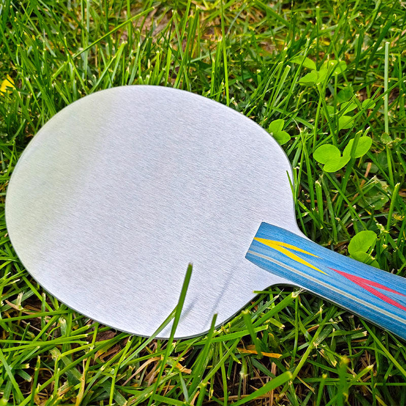 Plaque de base de tennis de ta - Allsports Equipment avis et prix